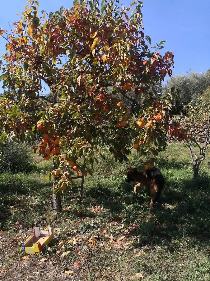 Alle Pendici Dell'Etna Ragalna