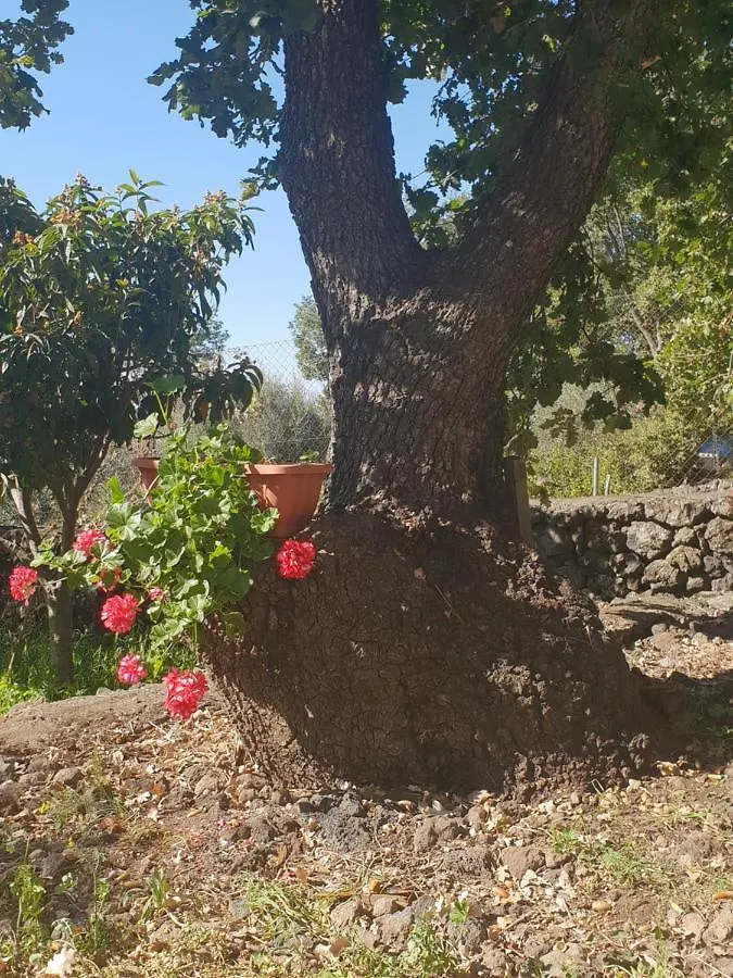 Holiday home Alle Pendici Dell'Etna Ragalna